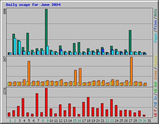 Daily usage for June 2024